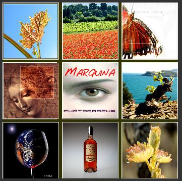 French vine photographer - Le photographe de la vigne